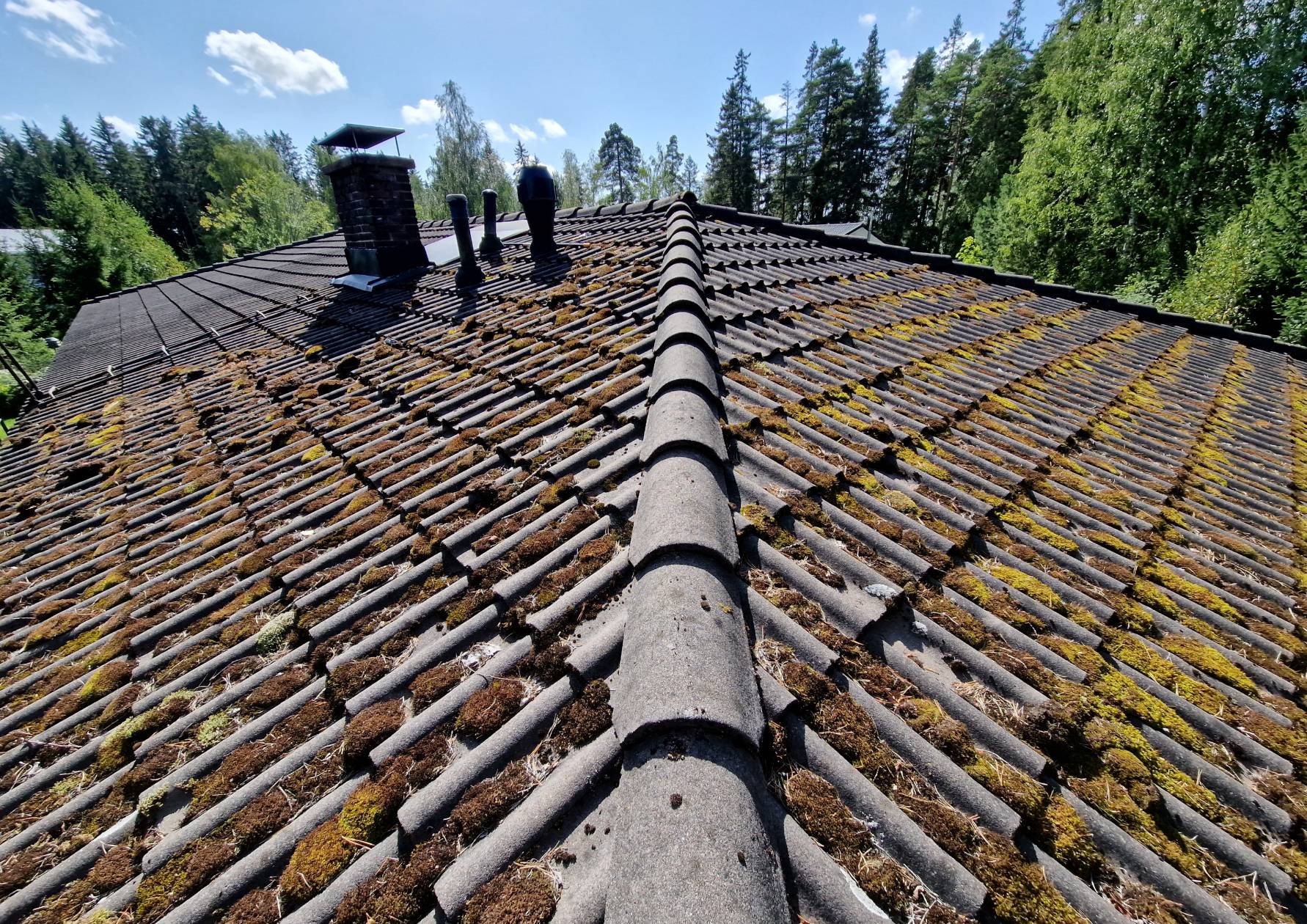 Katto ennen pesua Masku